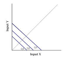 Produzione in microeconomia - Isoquanto di perfetti sostituti