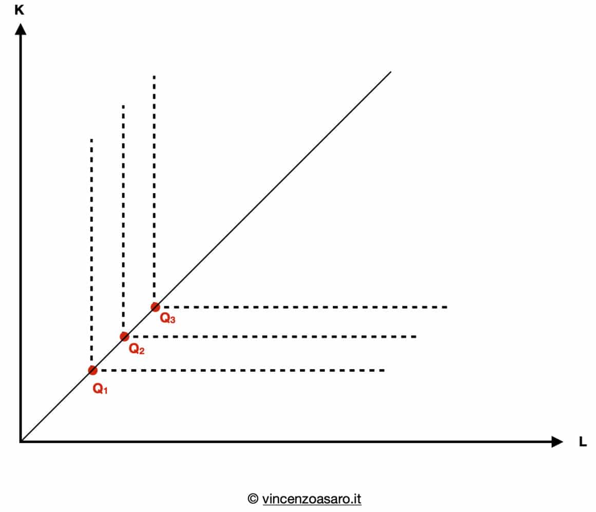 Isoquanto di input non sostituibili