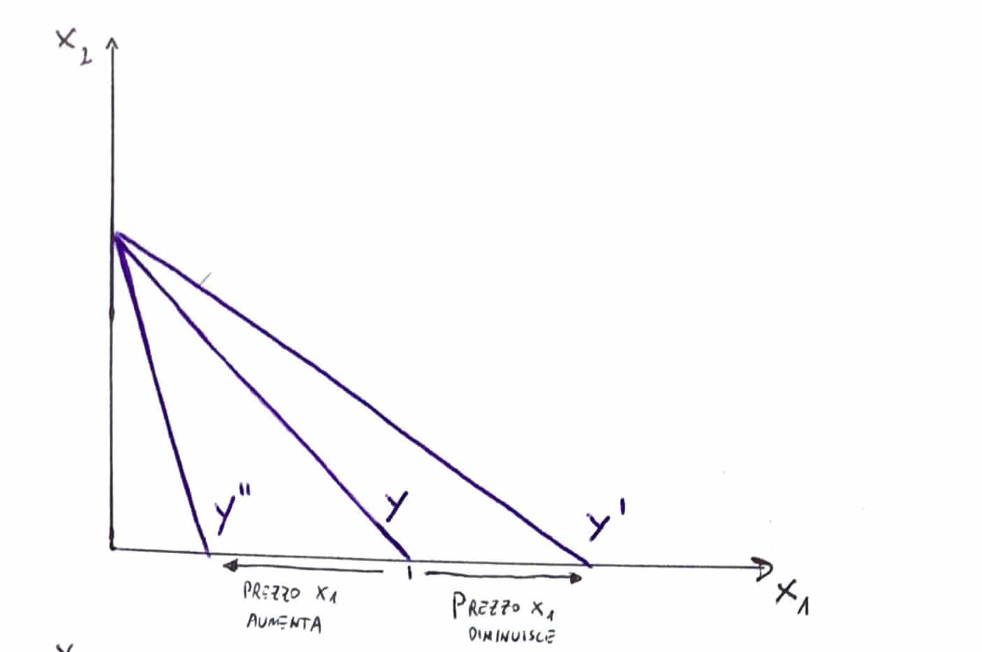 Effetto_Variazione_Prezzo_Vincolo_Bilancio