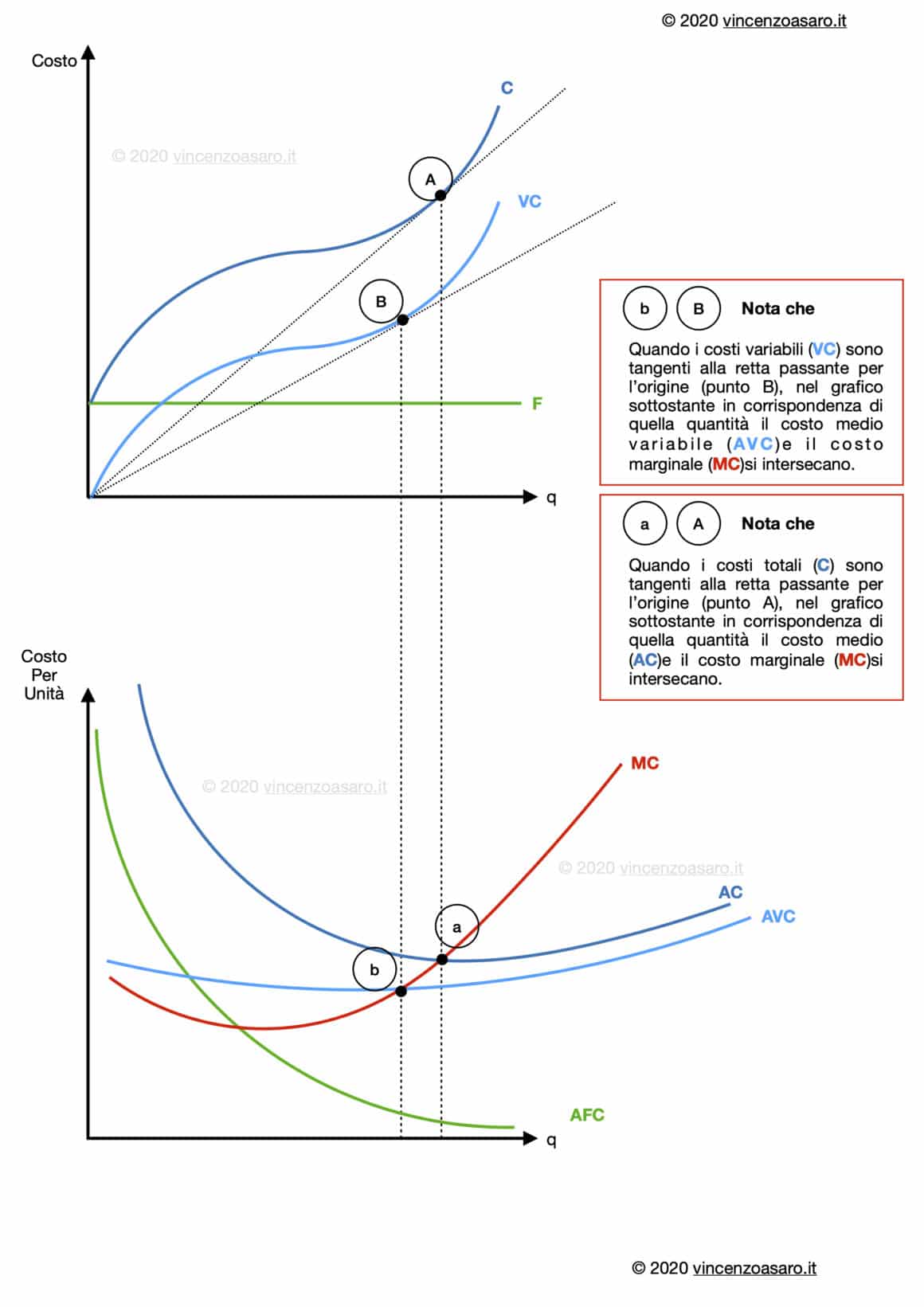 Grafico comparato dei costi totali e dei costi medi e variabili