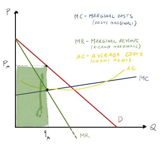 Rappresentazione grafica del monopolio: area di ricavo del monopolista