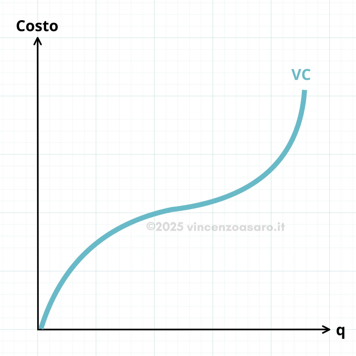 Costi variabili Grafico costi variabili